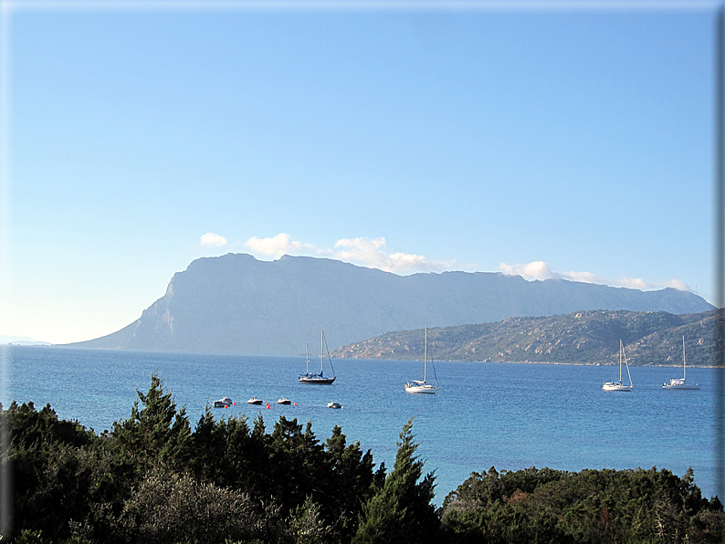 foto Spiagge di San Teodoro